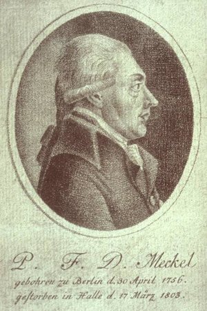 Philipp Friedrich Theodor Meckel (1756-1803) war ein deutscher Anatom und Chirurg. Er gehörte zu den führenden Kapazitäten siener Epoche und wurde auch zu zwei Geburten an den Hof von St. Petersburg berufen. Philipp Friedrich Theodor Meckel (1756-1803) war ein deutscher Anatom und Chirurg. Er gehörte zu den führenden Kapazitäten siener Epoche und wurde auch zu zwei Geburten an den Hof von St. Petersburg berufen.