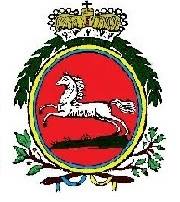 Logo des Braunschweiger Feldkorps e.V.